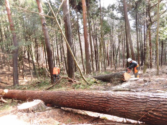 CIMG8176 (1280x960) (1280x960) (2) (1280x960) (1280x960)