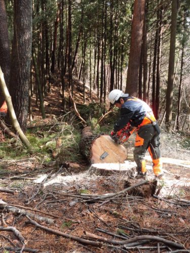 CIMG8177 (1280x960) (1280x960) (1280x960) (1280x960)