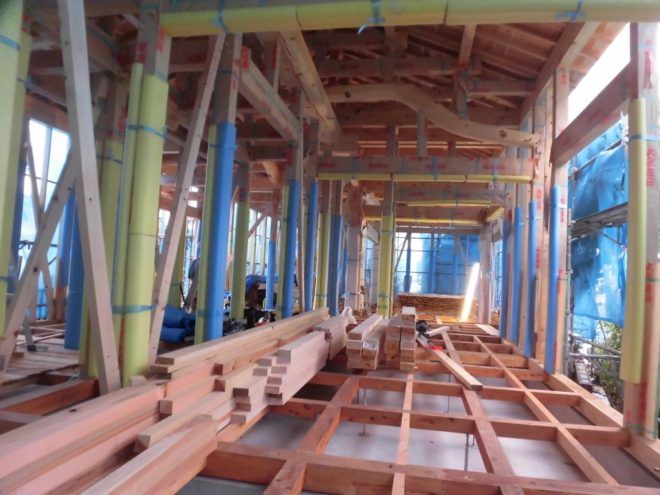 CIMG0286 (1024x768) (1024x768)