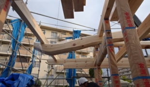 自然素材、赤松梁、檜、無垢材で作るお家建方始まる、１０，１８
