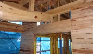 自然素材、杉、檜、赤松、無垢材創る健康木造住宅外壁作業１１，０４