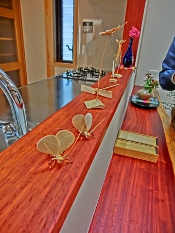 CIMG4616 (480x640) (2)