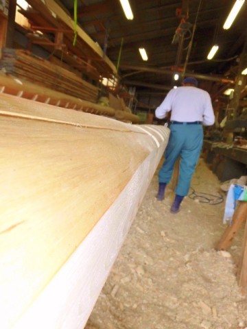 CIMG0516 (480x640) (480x640) (2)