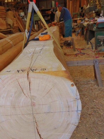 CIMG1108 (480x640) (480x640)